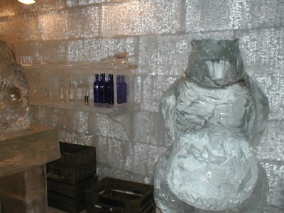 Ice Bar