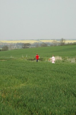 2007_04CountryWalk24_resize.JPG