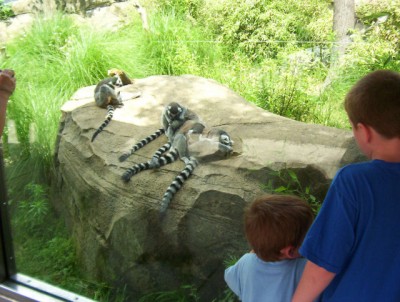 Connor and Devlin meet Zaboo