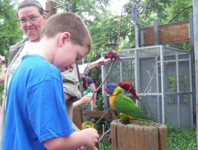 Have food, birds will love you